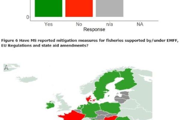 Study on the main effects of the COVID-19 pandemic on the EU fishing and aquaculture sectors